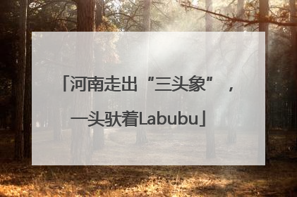 河南走出“三头象”，一头驮着Labubu