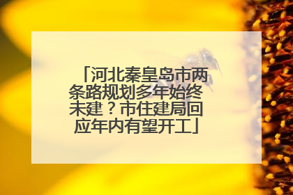 河北秦皇岛市两条路规划多年始终未建？市住建局回应年内有望开工