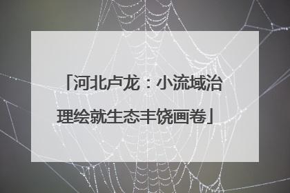河北卢龙：小流域治理绘就生态丰饶画卷