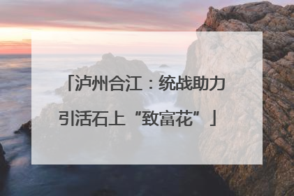 泸州合江：统战助力引活石上“致富花”