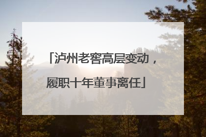 泸州老窖高层变动，履职十年董事离任