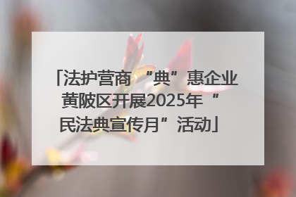 法护营商 “典”惠企业 黄陂区开展2025年“民法典宣传月”活动