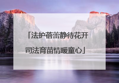 法护蓓蕾静待花开 司法育苗情暖童心