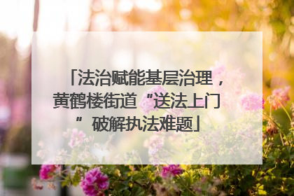 法治赋能基层治理，黄鹤楼街道“送法上门”破解执法难题