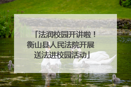 法润校园开讲啦！衡山县人民法院开展 送法进校园活动