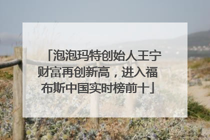 泡泡玛特创始人王宁财富再创新高，进入福布斯中国实时榜前十