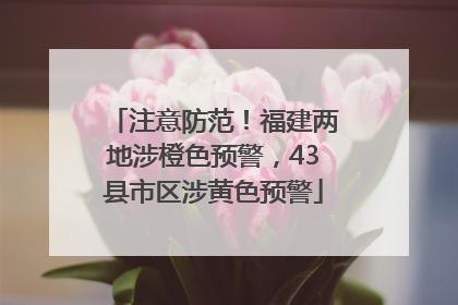 注意防范！福建两地涉橙色预警，43县市区涉黄色预警