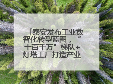 泰安发布工业数智化转型蓝图，“十百千万”梯队+灯塔工厂打造产业新标杆