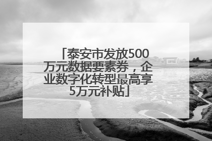 泰安市发放500万元数据要素券，企业数字化转型最高享5万元补贴