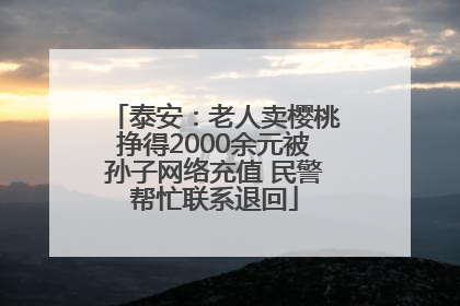 泰安：老人卖樱桃挣得2000余元被孙子网络充值 民警帮忙联系退回