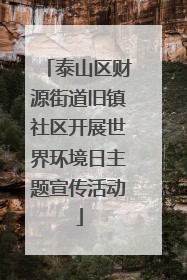 泰山区财源街道旧镇社区开展世界环境日主题宣传活动