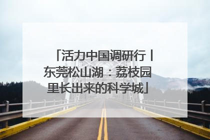 活力中国调研行丨东莞松山湖：荔枝园里长出来的科学城
