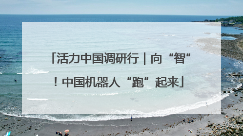 活力中国调研行｜向“智”！中国机器人“跑”起来