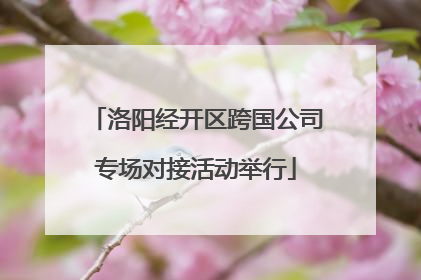 洛阳经开区跨国公司专场对接活动举行
