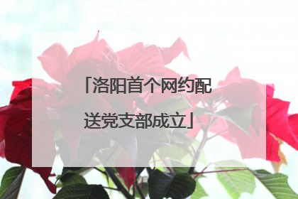 洛阳首个网约配送党支部成立