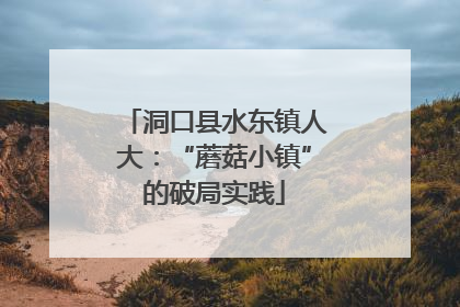 洞口县水东镇人大：“蘑菇小镇”的破局实践