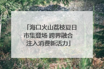 海口火山荔枝夏日市集登场 跨界融合注入消费新活力