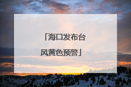 海口发布台风黄色预警