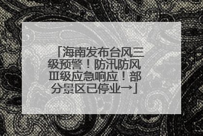 海南发布台风三级预警！防汛防风Ⅲ级应急响应！部分景区已停业→