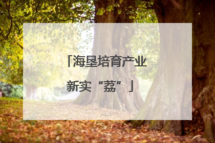 海垦培育产业新实“荔”