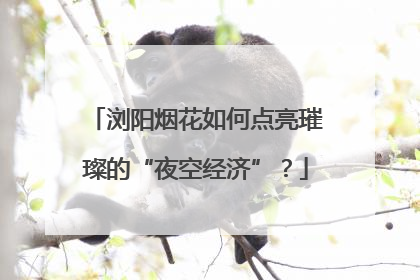 浏阳烟花如何点亮璀璨的“夜空经济”？