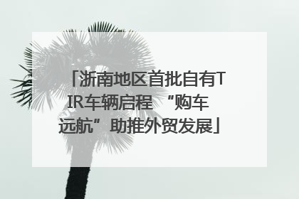 浙南地区首批自有TIR车辆启程 “购车远航”助推外贸发展