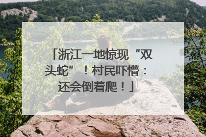 浙江一地惊现“双头蛇”！村民吓懵：还会倒着爬！
