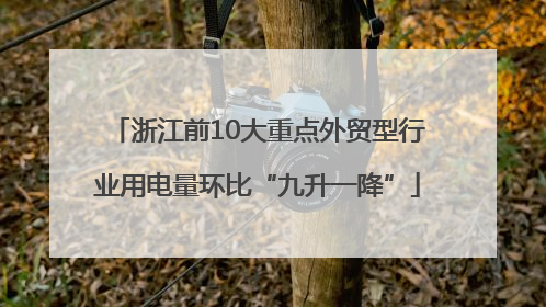 浙江前10大重点外贸型行业用电量环比“九升一降”