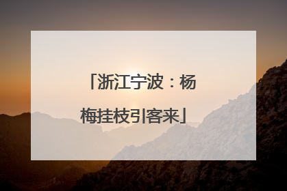 浙江宁波：杨梅挂枝引客来