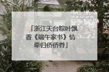 浙江天台粽叶飘香《端午家书》情牵归侨侨眷