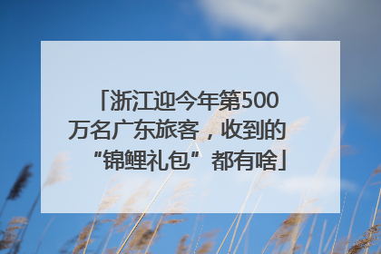 浙江迎今年第500万名广东旅客，收到的“锦鲤礼包”都有啥