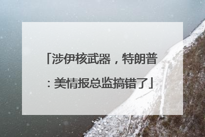 涉伊核武器，特朗普：美情报总监搞错了