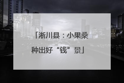 淅川县：小果桑种出好“钱”景