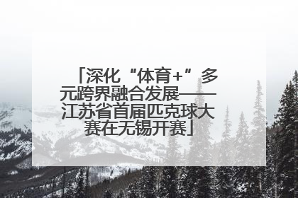 深化“体育+”多元跨界融合发展——江苏省首届匹克球大赛在无锡开赛