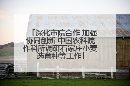 深化市院合作 加强协同创新 中国农科院作科所调研石家庄小麦选育种等工作