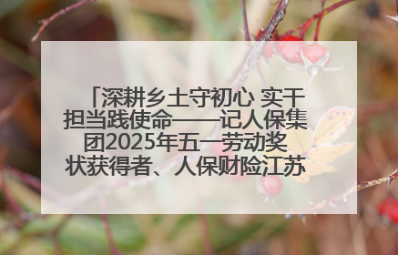 深耕乡土守初心 实干担当践使命——记人保集团2025年五一劳动奖状获得者、人保财险江苏南通海安支公司