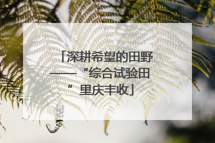 深耕希望的田野——“综合试验田”里庆丰收