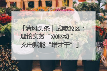清风头条｜武陵源区：理论实务“双驱动 ” 充电赋能“增才干”