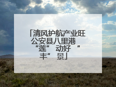 清风护航产业旺 公安县八里港 “莲” 动好 “丰” 景