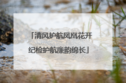 清风护航凤凰花开 纪检护航廉韵绵长