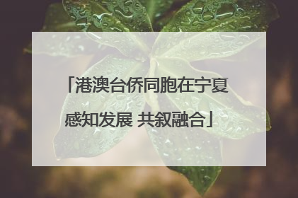 港澳台侨同胞在宁夏感知发展 共叙融合