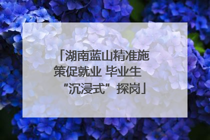 湖南蓝山精准施策促就业 毕业生“沉浸式”探岗