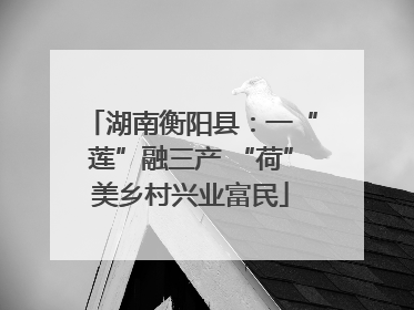 湖南衡阳县：一“莲”融三产 “荷”美乡村兴业富民