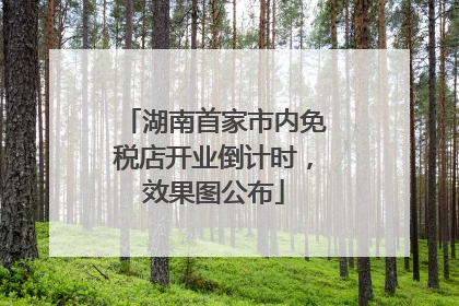湖南首家市内免税店开业倒计时，效果图公布