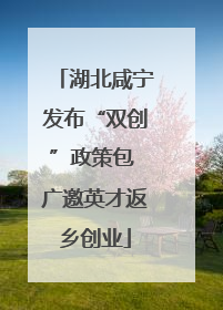 湖北咸宁发布“双创”政策包 广邀英才返乡创业