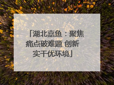湖北嘉鱼：聚焦痛点破难题 创新实干优环境