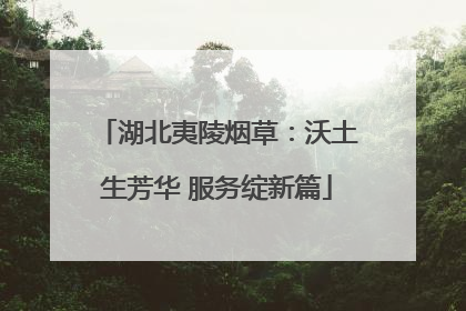湖北夷陵烟草：沃土生芳华 服务绽新篇