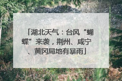 湖北天气：台风“蝴蝶”来袭，荆州、咸宁、黄冈局地有暴雨