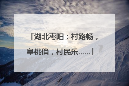 湖北枣阳：村路畅，皇桃俏，村民乐……