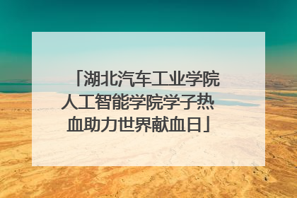 湖北汽车工业学院人工智能学院学子热血助力世界献血日